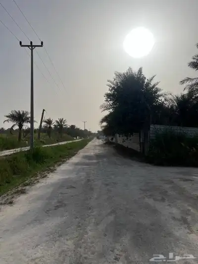 مزرعة للبيع -أرض زراعية موقع متميز- الاحساء- مزارع 12