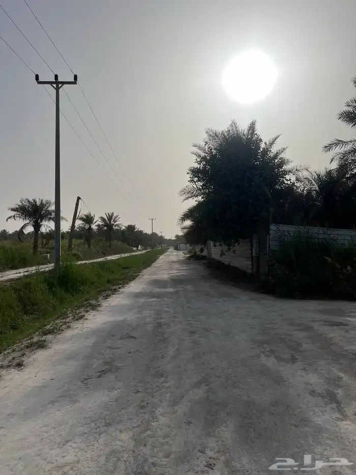مزرعة للبيع -أرض زراعية موقع متميز- الاحساء- مزارع 12