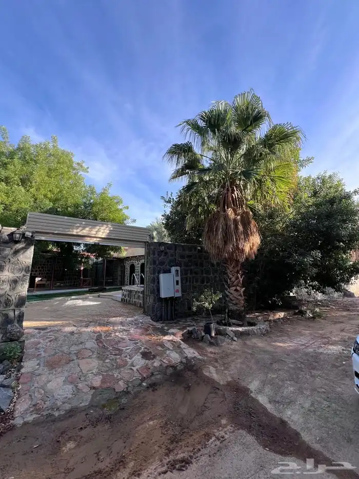 ايجار يومي استراحة حنان الريفية 7