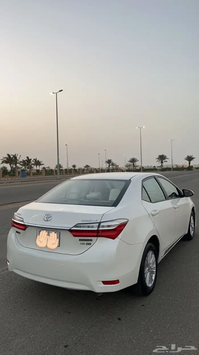 كورلا 2019 للبيع 2