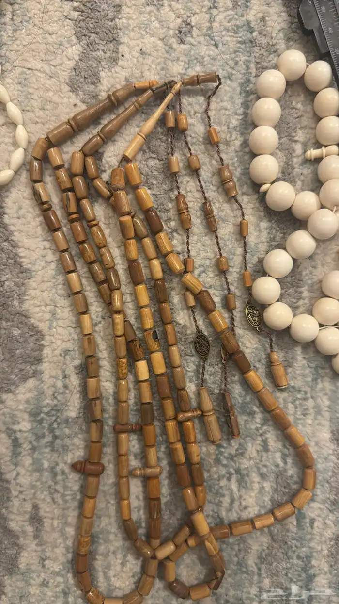 سبحه ماموث البيع سمح يوجود توصيل 3