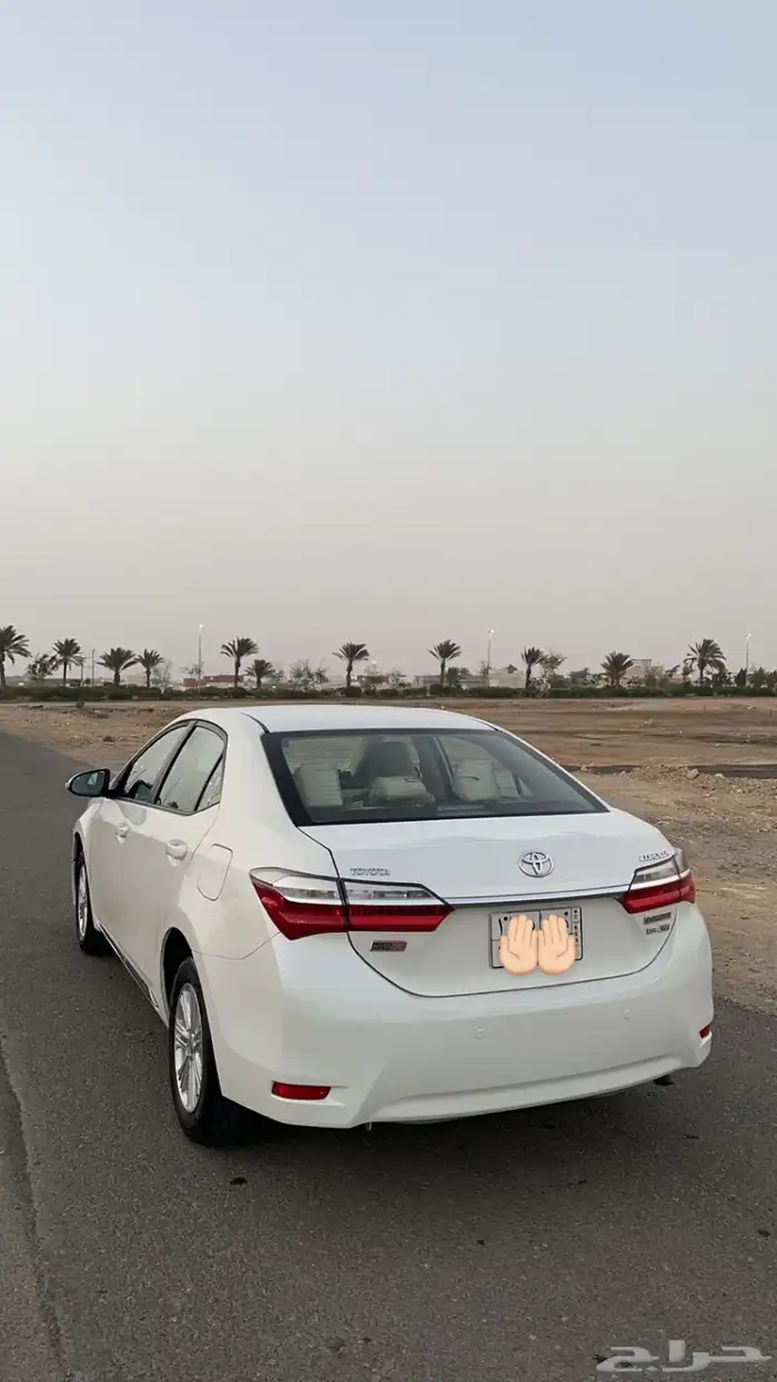 كورلا 2019 للبيع 3
