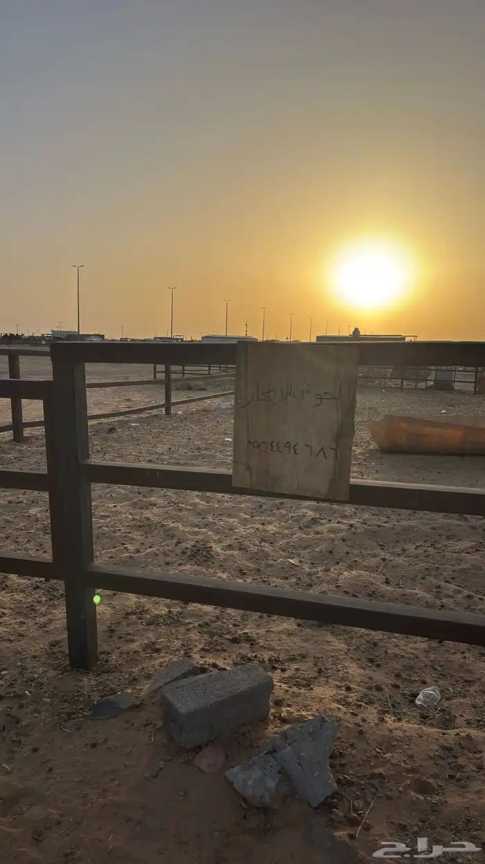 حوش ابل للإيجار او للبيع 0