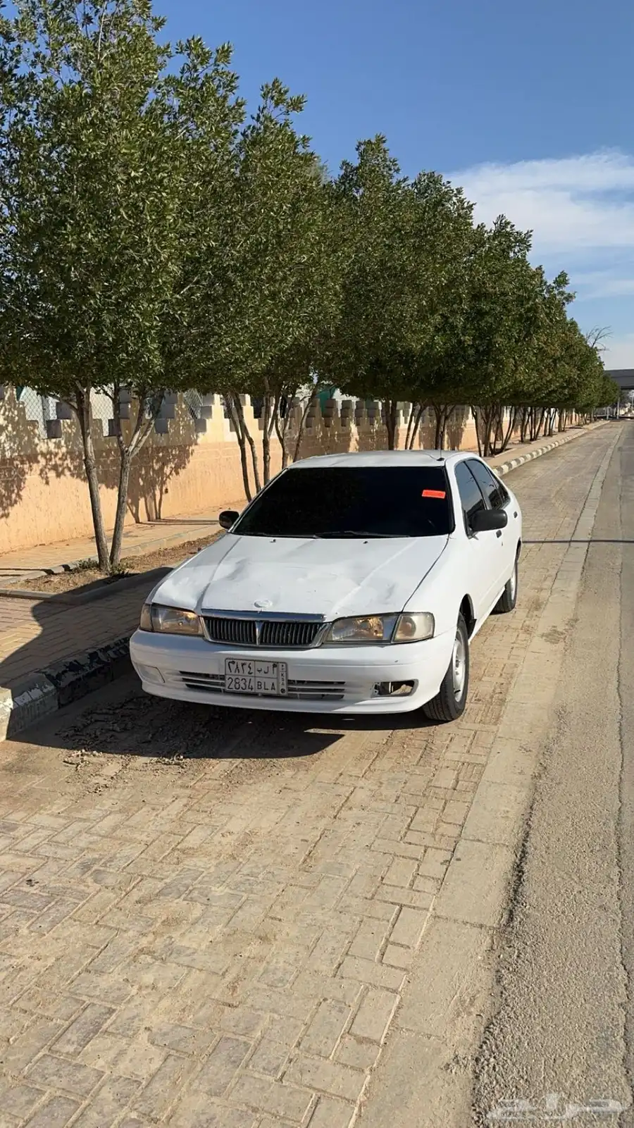 صني 99 مششى 493 2