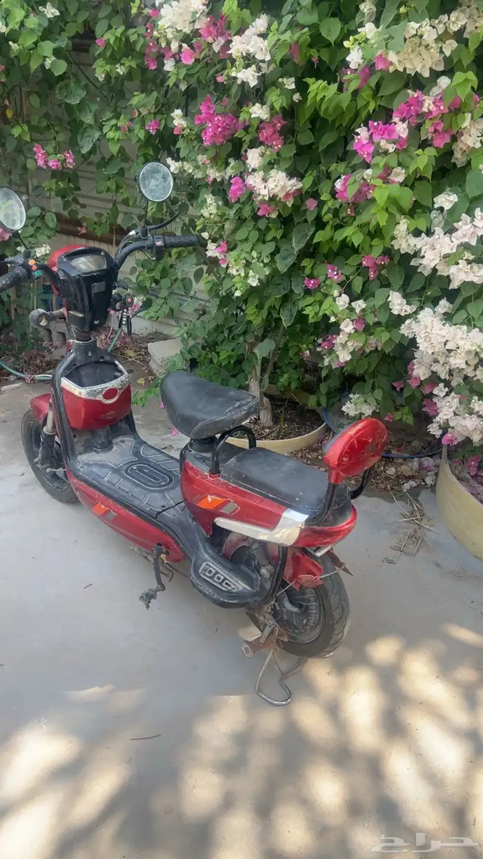 سكوتر. راكبين اربع بطاريات 2