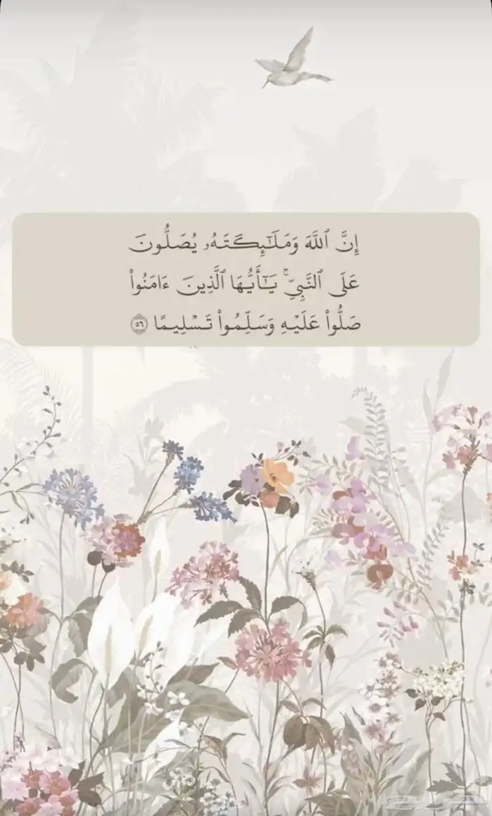 تصاميم ودعوات 0
