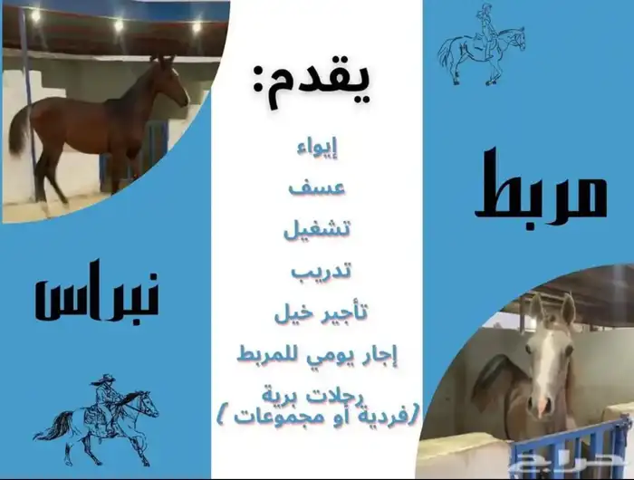 مربط نبراس للايواء و العسف 0