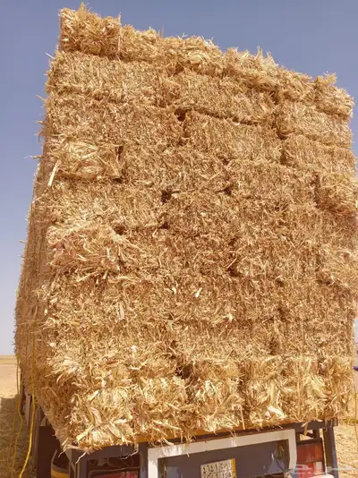 الدفع عند الاستلام 2
