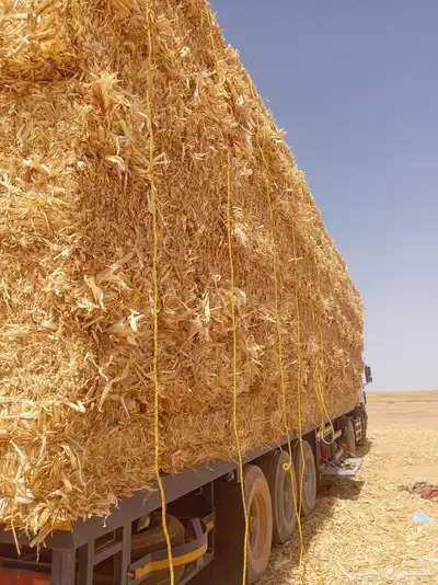 الدفع عند الاستلام 0