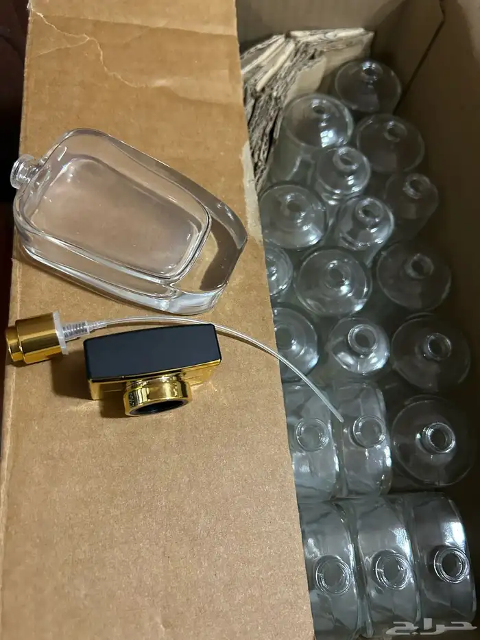 الشرقية   الاحساء 10