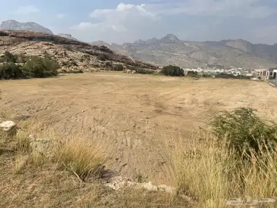 للبيع ارض زراعيه بمحافظة تنومه 0