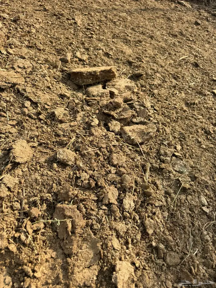 سماد بقر للمزارع 0
