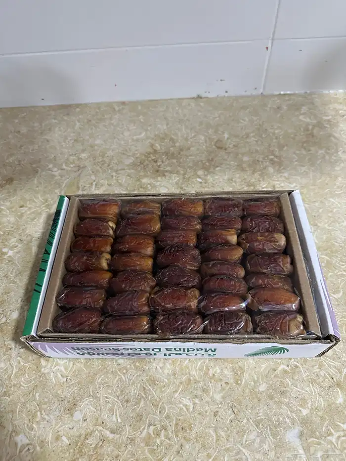 تمر صقعي ومجدول 1