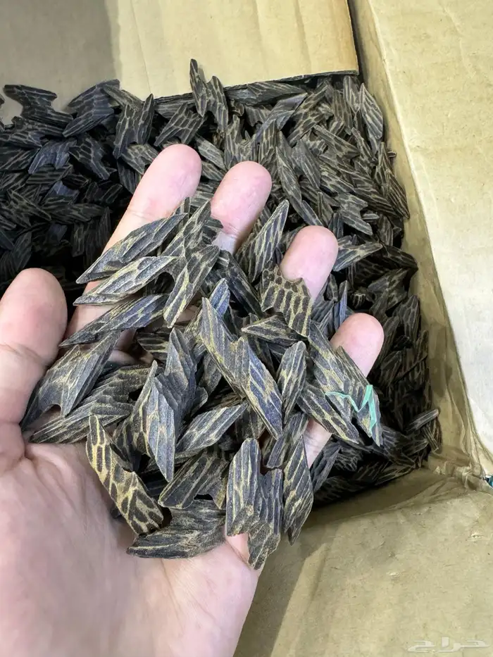 عود كمبودي تايقر طبيعي محس ن   كسر صغيرة   جملة ومفرق 0