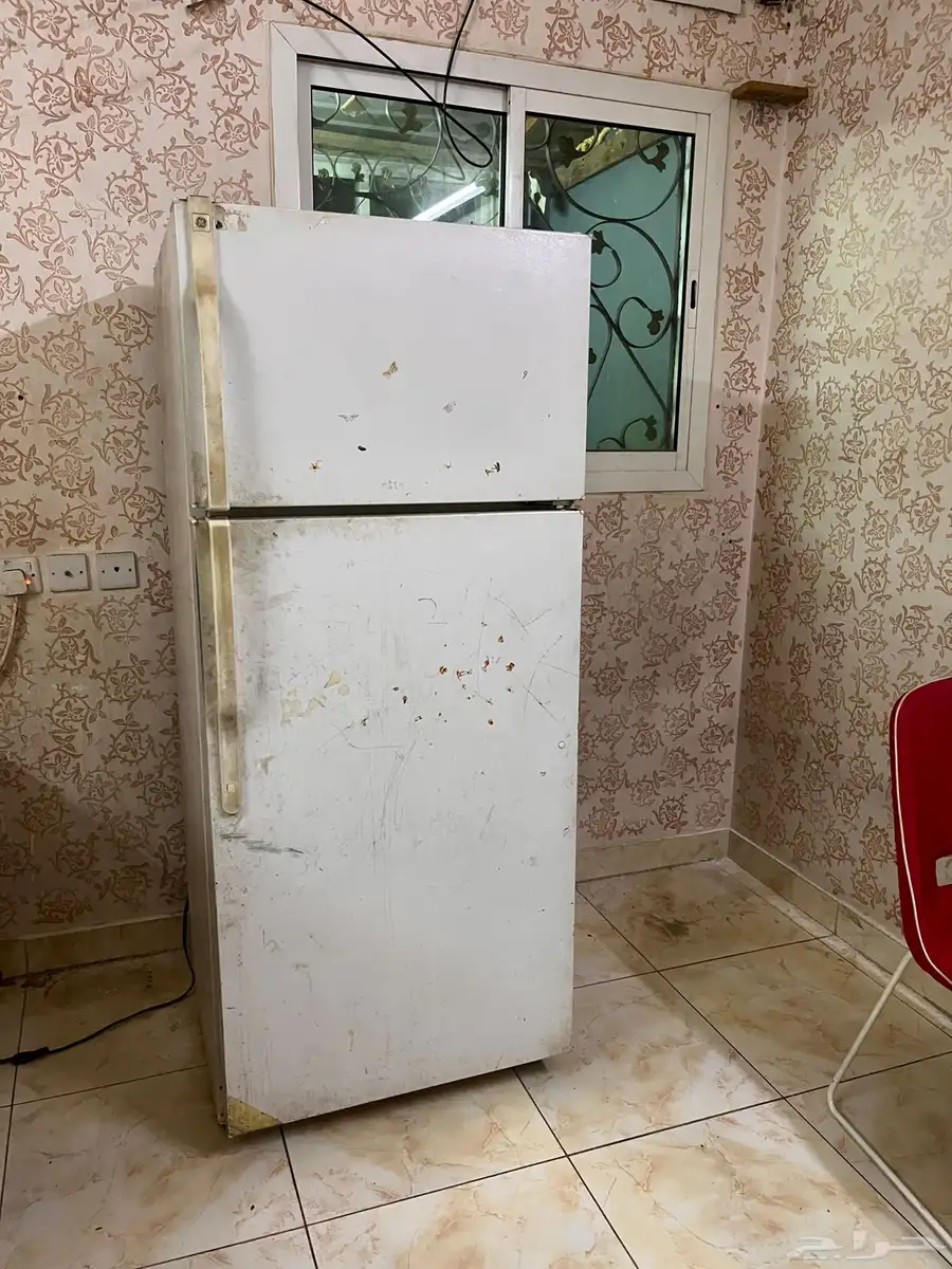 kelvinator fridge 2
