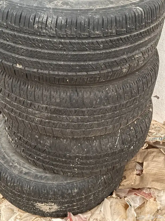 جنوط شاص 1