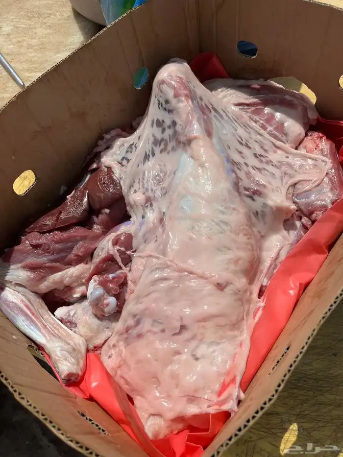 ذبايح 3