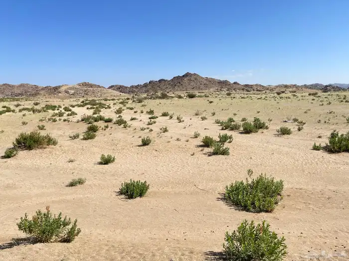 ارض في بئر الغنم للايجار مساحة 1600 4
