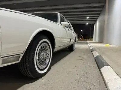 كابرس 1989 (( مباع )) 19