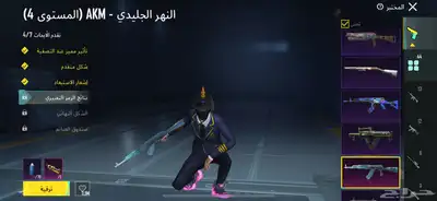 حساب ببجي نادر 4