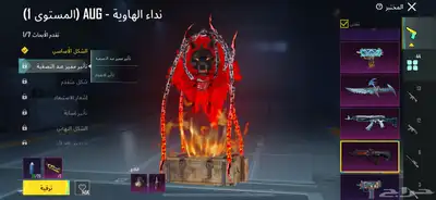 حساب ببجي نادر 33