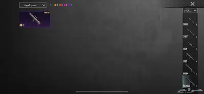 حساب ببجي نادر 46