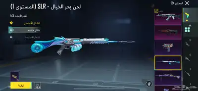 حساب ببجي نادر 35