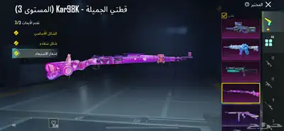 حساب ببجي نادر 29