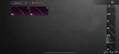 حساب ببجي نادر 79