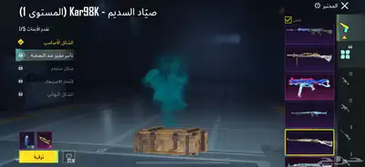 حساب ببجي نادر 17