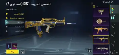 حساب ببجي نادر 10