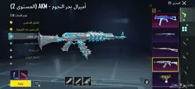 حساب ببجي نادر 12