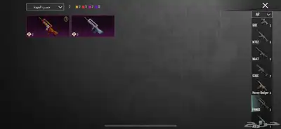 حساب ببجي نادر 85