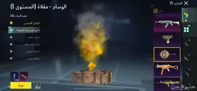 حساب ببجي نادر 14