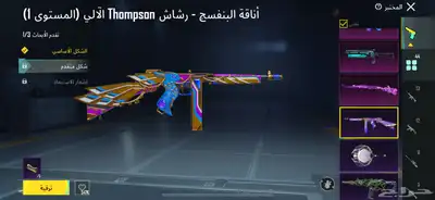 حساب ببجي نادر 24