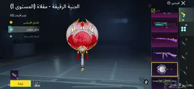 حساب ببجي نادر 25