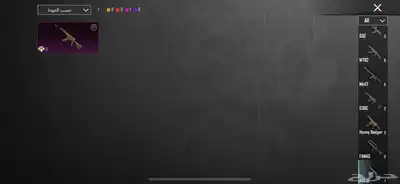 حساب ببجي نادر 80