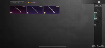 حساب ببجي نادر 58