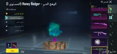 حساب ببجي نادر 26