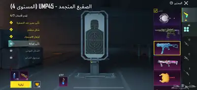حساب ببجي نادر 22