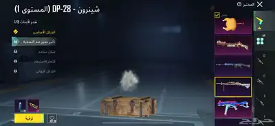 حساب ببجي نادر 21