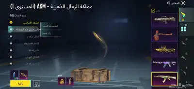 حساب ببجي نادر 41