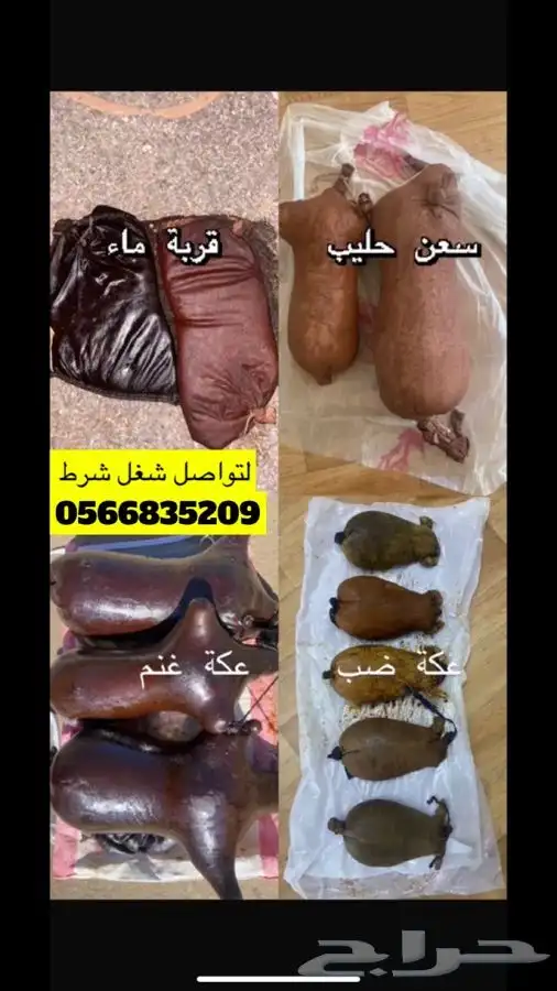 سعونه قرب ماء عكاك صميل 1