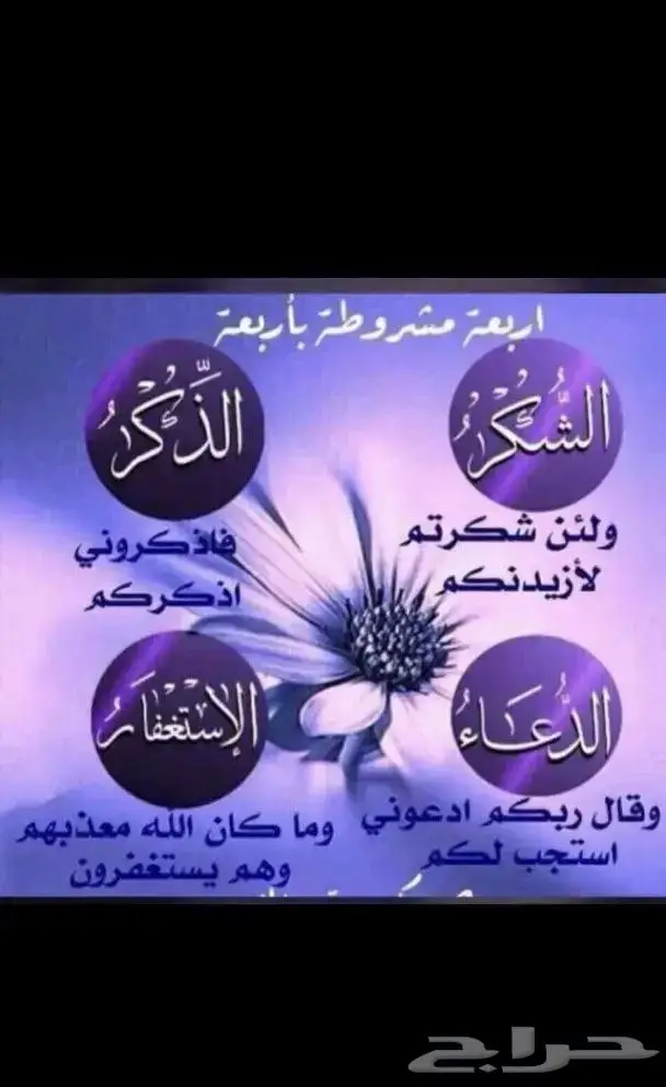 جديد فضة فاخرة أصلي بختم عيار 925 4