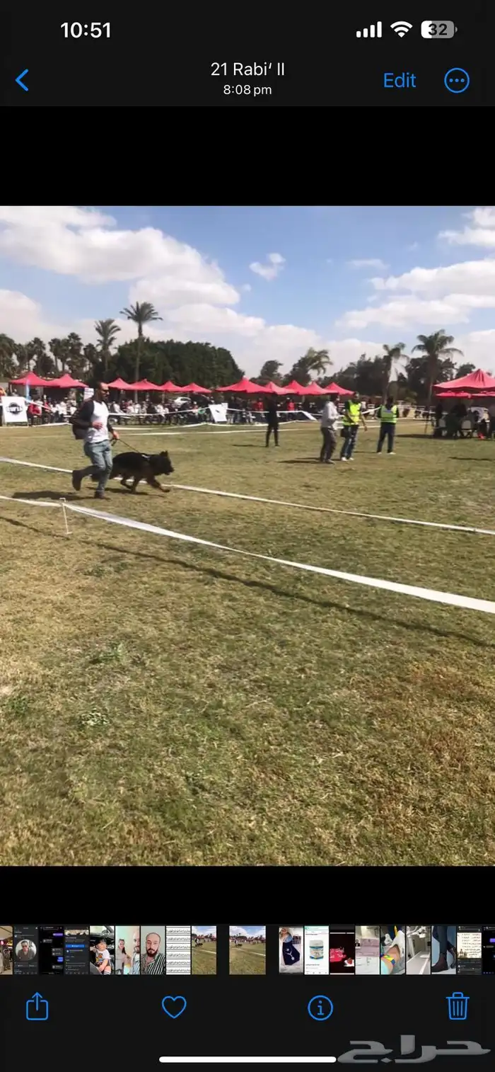 فندقة كلاب 14