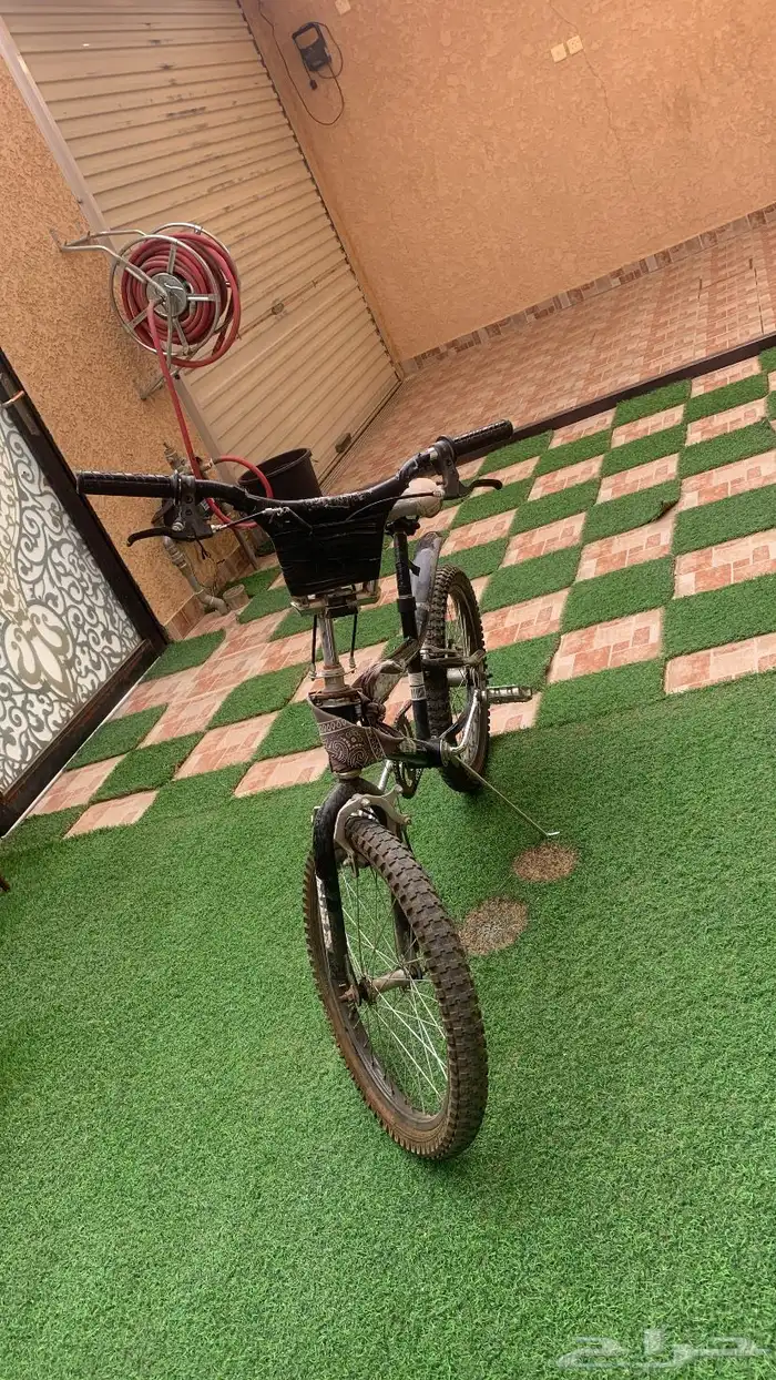 سيكل كوبرا 3