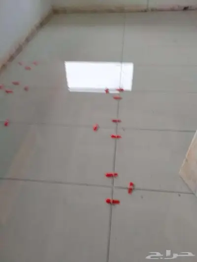 مبلط 0