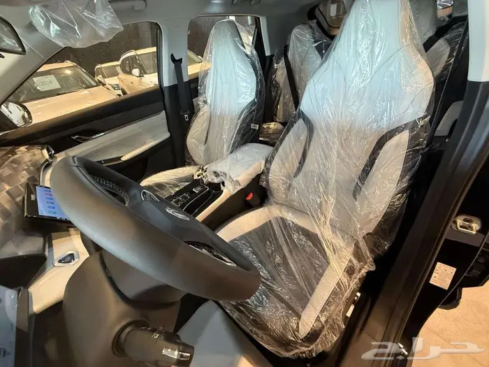دوينغ فينغ ميج 2025 9