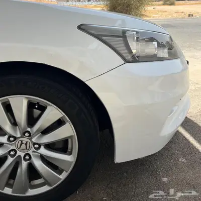 تم البيع 43