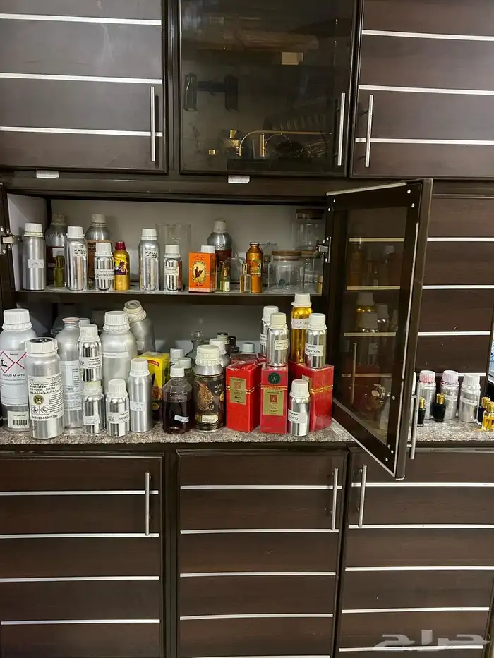 الشرقية   الاحساء 0